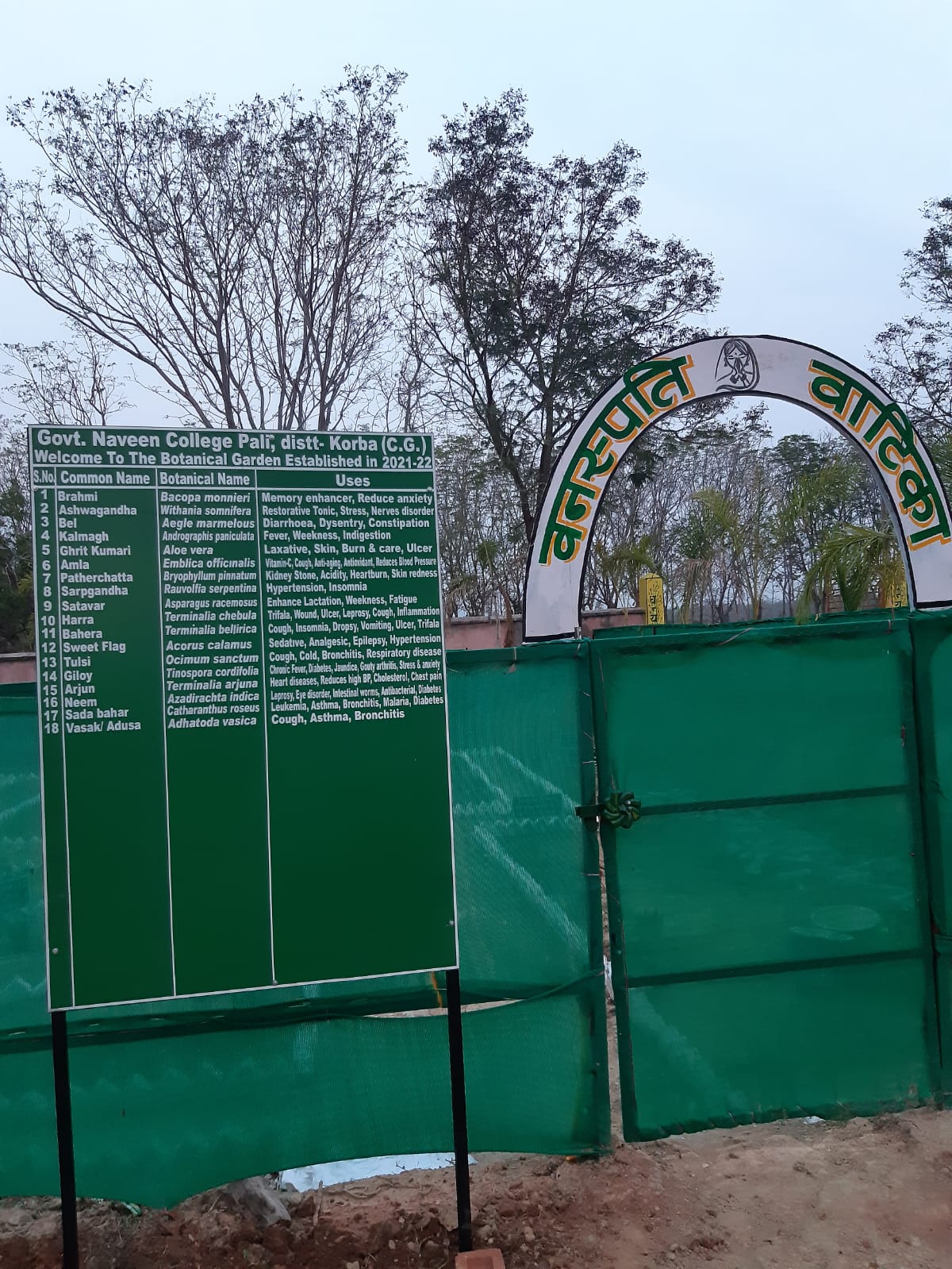 महाविद्यालय परिसर में स्थित वनस्पति वाटिका 